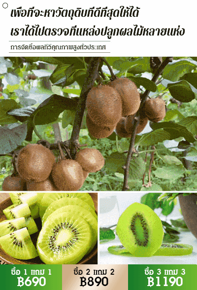 กีวีอบแห้งธรรมชาติ ต้านมะเร็งได้